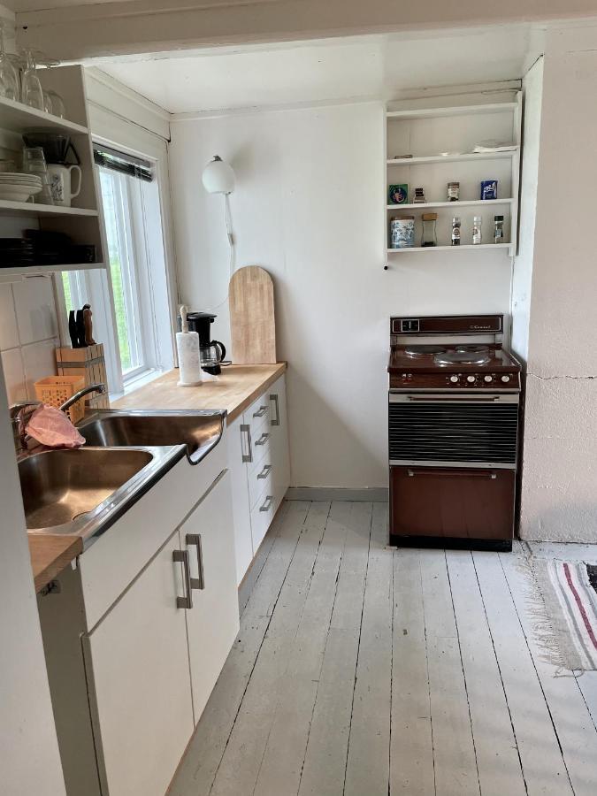 Grandmothers Cosy Farmhouse Fredvang المظهر الخارجي الصورة